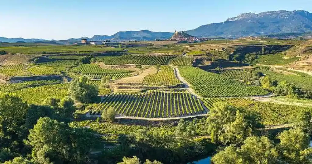 Madrid to La Rioja